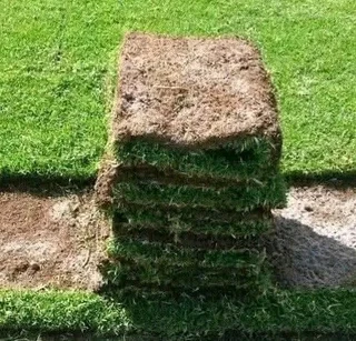 Natural grass straight from the farm
