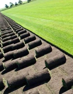 Natural grass strait from the farm