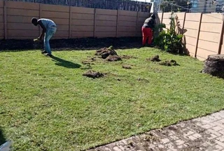 Natural grass strait from the farm