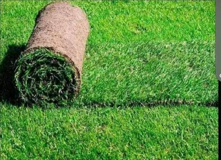 Natural grass strait from the farm