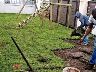 Different types of Nature grass