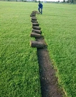 Law and Lawn servise