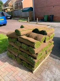 Law and Lawn servise