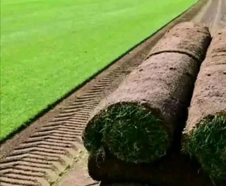 Law and Lawn servise