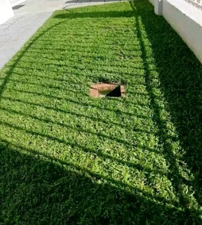 Law and Lawn servise