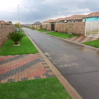 ©Buffalo Grass©Kikiyu Grass©LM  Bure Grass©Cynodon Grass