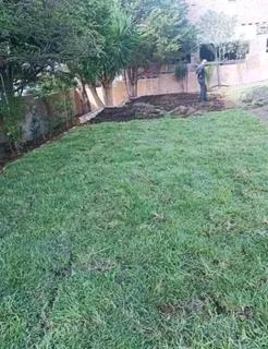 ©Buffalo Grass©Kikiyu Grass©LM  Bure Grass©Cynodon Grass