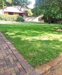 ©Buffalo Grass©Kikiyu Grass©LM  Bure Grass©Cynodon Grass