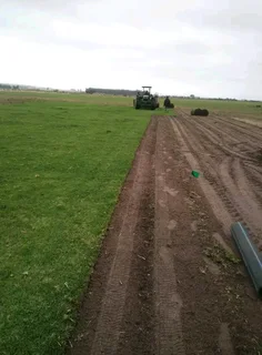 ©Buffalo Grass©Kikiyu Grass©LM  Bure Grass©Cynodon Grass