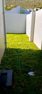 ©Buffalo Grass©Kikiyu Grass©LM  Bure Grass©Cynodon Grass