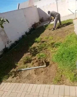 ©Buffalo Grass©Kikiyu Grass©LM  Bure Grass©Cynodon Grass