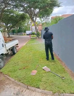 ©Buffalo Grass©Kikiyu Grass©LM  Bure Grass©Cynodon Grass