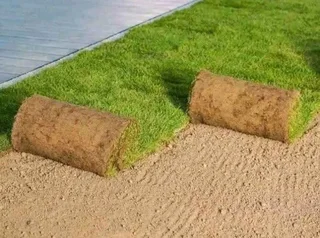 Natural fresh Lawn! We sell per square meters