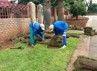 Natural fresh gras( all types)