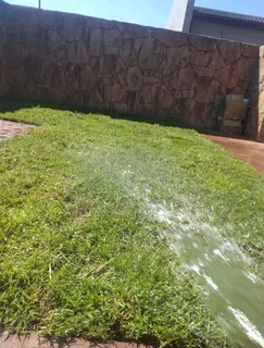 Fresh Lawn from the farm