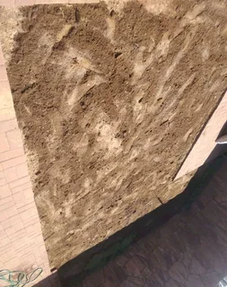 Fresh Lawn from the farm