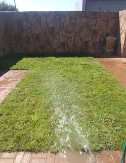 Fresh Lawn from the farm