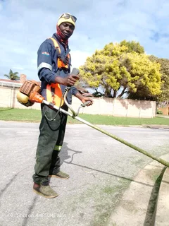 Looking for gardening job