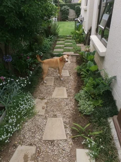 Domestic Garden Work Hard And Trustworthy