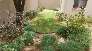 Domestic Garden Work Hard And Trustworthy