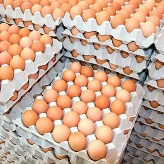 eggs for sale