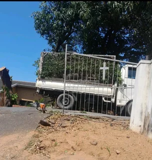 Tree feeling and removal 0640842255