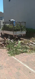 Tree feeling and removal 0640842255