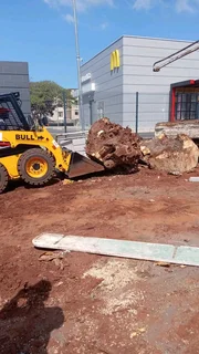 Tree feeling and removal 0640842255