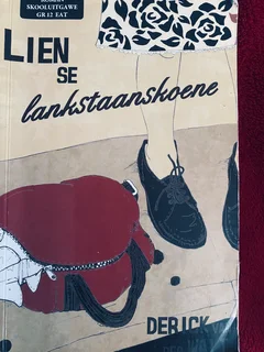 Grade 11–12 Textbook Bundle &#43; Novels –Second Hand (Maths, AP Maths, English, Afrikaans)