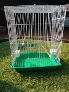 bird cage
