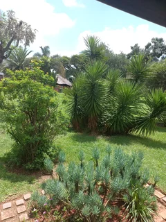 Bachelor&#39;s pad Midrand Glen Austin near Act Church in private secure complex