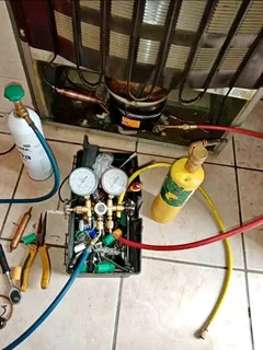 Domestic fridges specialist