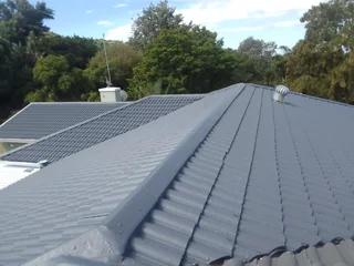 Services - Ad posted by Philemon Zitsanza