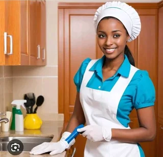 Domestic helpers and cleaning services