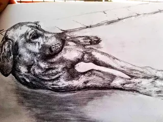 Illustrations, sketches and large portrait services, brand labels etc