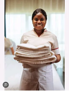 I am looking for a job as a domestic worker