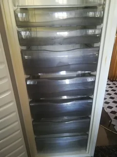 Standing freezer