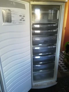 Standing freezer