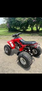 2005 Honda TRX300ex