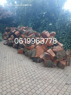 ACTION TREE FELLING SERVICES