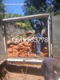 ACTION TREE FELLING SERVICES