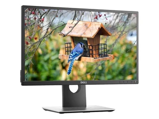 Dell P2017H LED Backlit |1600 x 900 | 20 Inch Monitor, HDMI, Display Port, VGA, 16.7 Million Colors,
