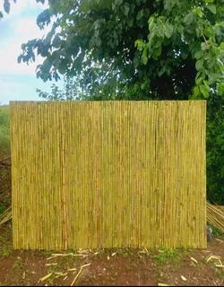 Bamboo fences