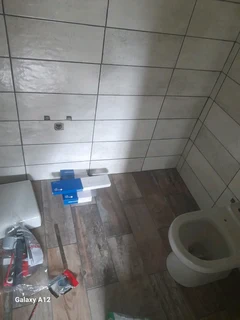 Plumbing  maintenance