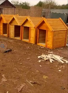 Dog kennels