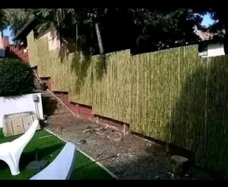 Bamboo fences