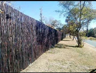 Bamboo fences