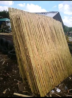 Bamboo fences