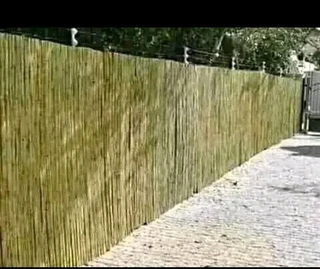 Bamboo fences