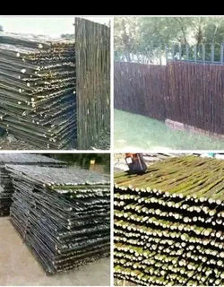 Bamboo fences